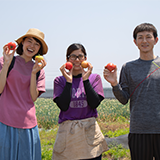こちらも熊本が生産量日本イチ「トマト」