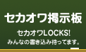 �Ǽ���