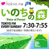 いのちの森　voice of forest