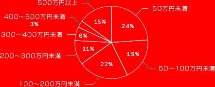 50万円未満 24%
50～100万円未満 19%
100～200万円未満 22%
200～300万円未満 11%
300～400万円未満 6%
400～500万円未満 3%
500万円以上 15%