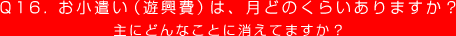 Q16. お小遣い（遊興費）は、月どのくらいありますか？
主にどんなことに消えてますか？