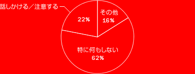 話しかける／注意する　22%
特に何もしない　62% その他　16%
