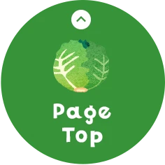 Page Top