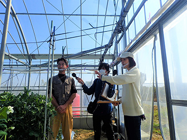 「スティックサラダ」を生産する船井さんの圃場！