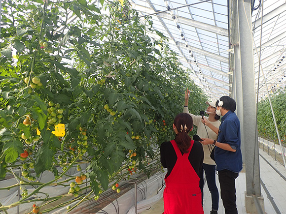 二日目の今日は、豊橋のオリジナル商品を作る、トマト農園さんにお邪魔しました～！