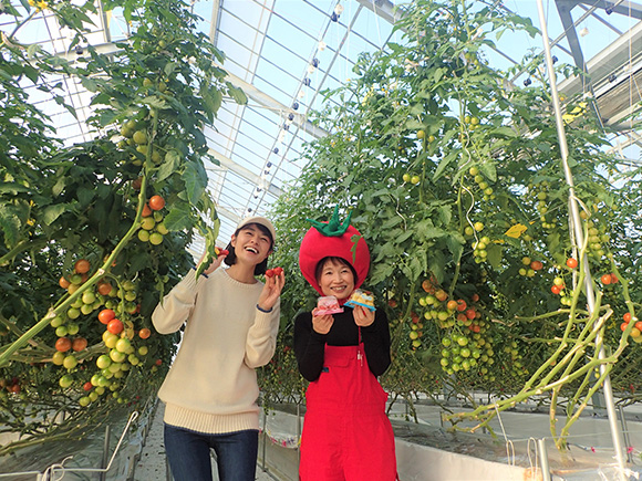 トマトが大好きな方、ちょっと苦手だけど気になった方も、是非食べてみてください！