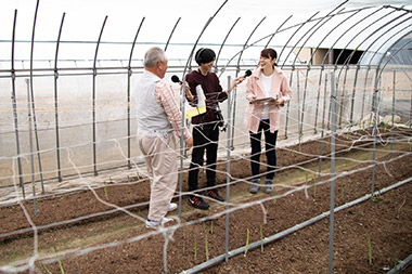 西条市は、県内産アスパラガスの８割以上を生産する最大の産地。