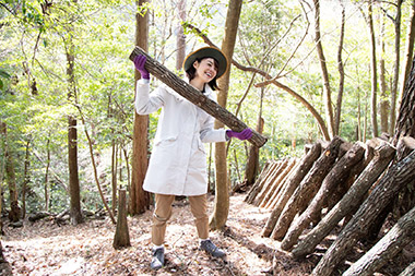 原木の養分をシイタケに行き渡すのは、原木栽培の難しい技術の1つだとか。