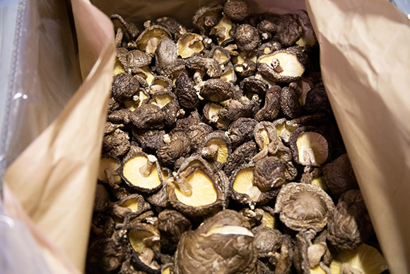 「愛媛県椎茸同志会」主催の乾しいたけ品評会で、11回連続の最優秀賞受賞も！