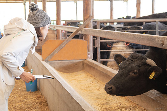 一方、その「鳴き声」が、とても重要な時もあります。