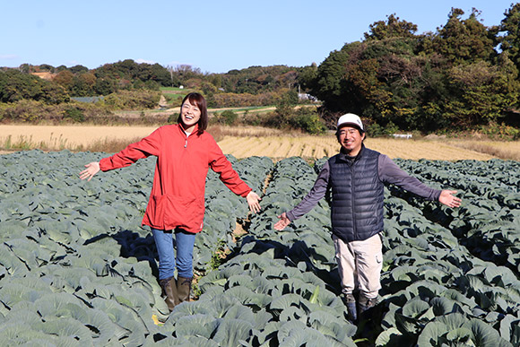 若松潮風キャベツは主に西日本のキャベツ需要を支える存在となっています。