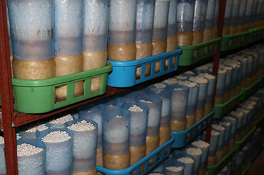 「日本で一番細いかも知れない」