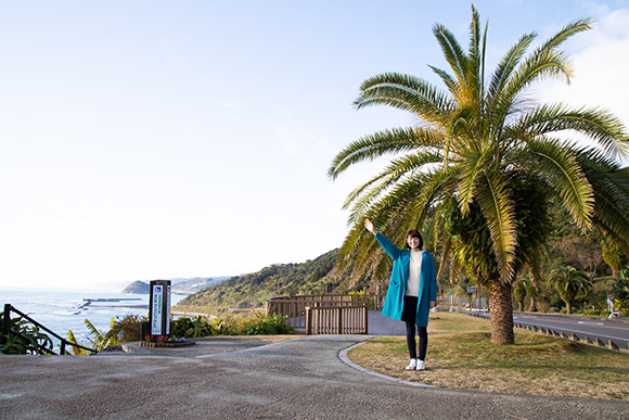 今回は、南国！宮崎にやってきました～～！青空！海！さらに宮崎と言えばこの木、フェニックス！宮崎の県の木にもなっています。