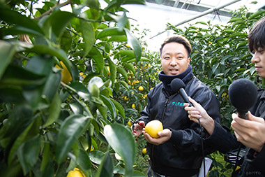 まず最初に伺ったのは、『日向の国』宮崎の名前が入るフルーツ「日向夏」を宮崎県・綾町で生産している「野元果樹園」さん。３代目の野元優平さんにお話伺いました。