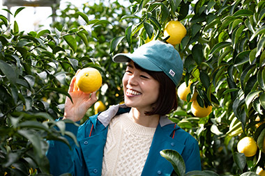 「他の柑橘との違いの１つは、この香りです」と、野元さん。くきをきると爽やかな香りが広がりました・・！