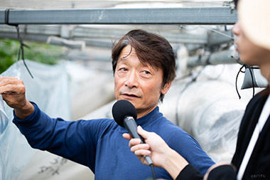 生産者のJA西都・「ピーマン部会」部会長兼、「宮崎県促成ピーマン共同計算委員会」委員長橋口竹幸さんにお話伺いました。