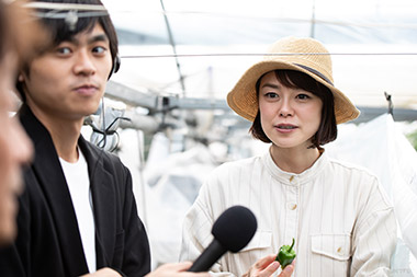 宮崎県は冬春ピーマンの生産量日本一！全国トップクラスの日射量を誇る宮崎で育つ冬春ピーマンは、光合成も活発で、栄養もたっぷり。