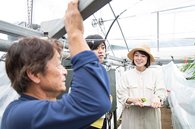 冬春ピーマンが宮崎で栽培されて、約50年。「これも、皆さんに愛されてきた証だと思います。これからも、良い土壌を作り、安心安全なピーマンを皆さんにお届けできればと思います」
            と、橋口さん。