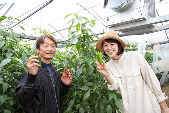 旬を迎えた「グリーンザウルス」ピーマンを是非味わってください！恐竜のキャラクターが描かれた袋が目印です～！