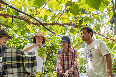 松井さんに伺いました。