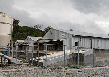 沖縄県の農業にフォーカスします！
