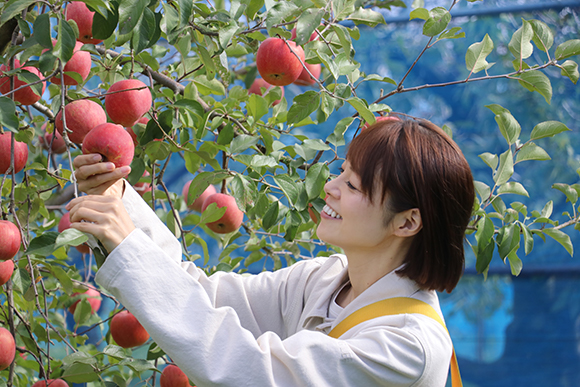 寒暖差約50度の風土が地域に豊かな恵みをもたらしてくれるのです。