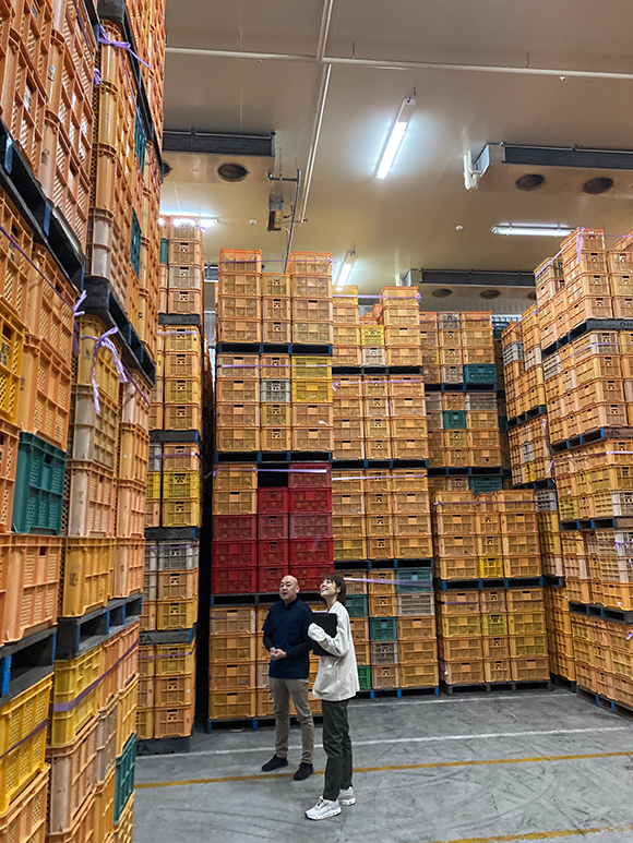 このようにプレミアム待遇の品質管理で大切に扱われているのです。