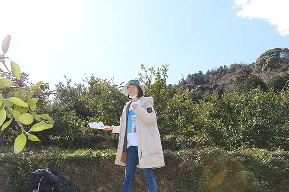 今日ご紹介するのは「不知火」