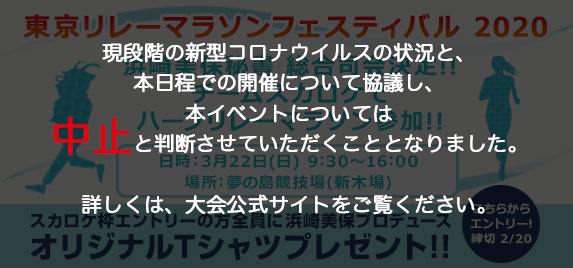 Sky �����졼�ޥ饽�����