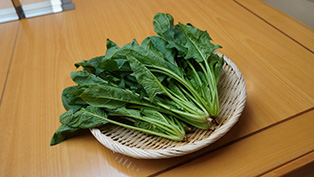 ほうれん草