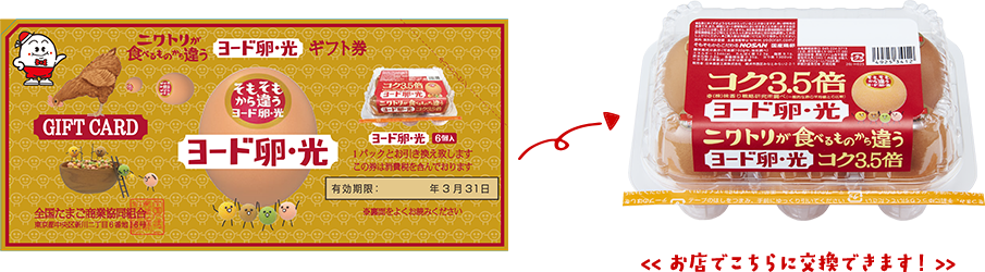 「ヨード卵・光ギフト券