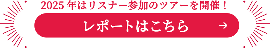 レポートはこちら