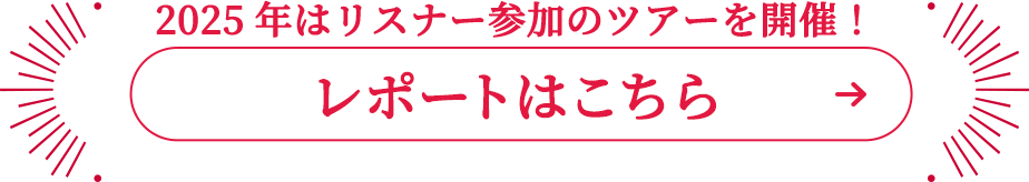 レポートはこちら
