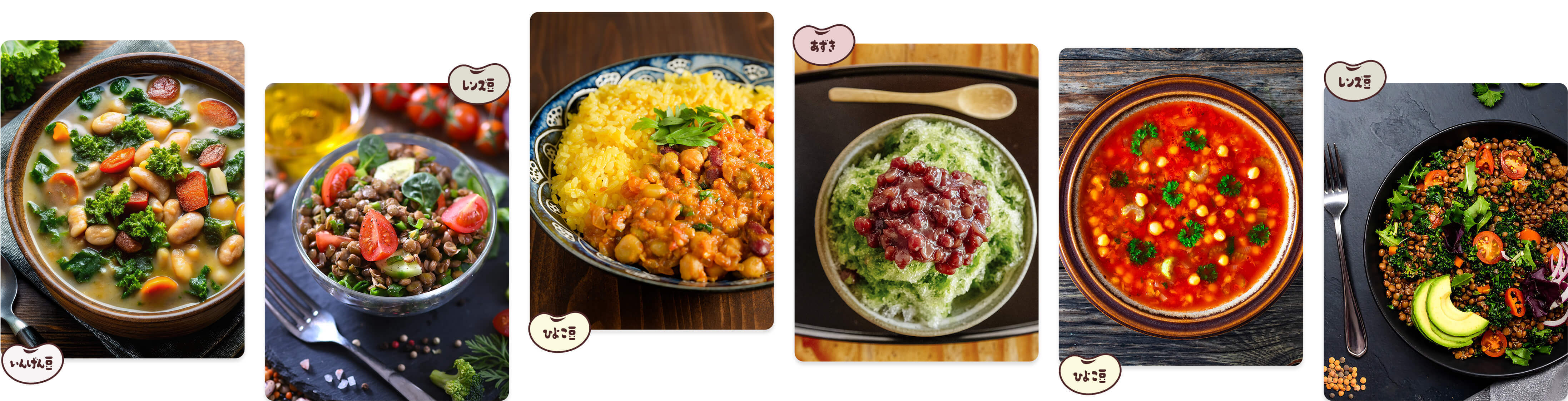 いろいろな豆料理