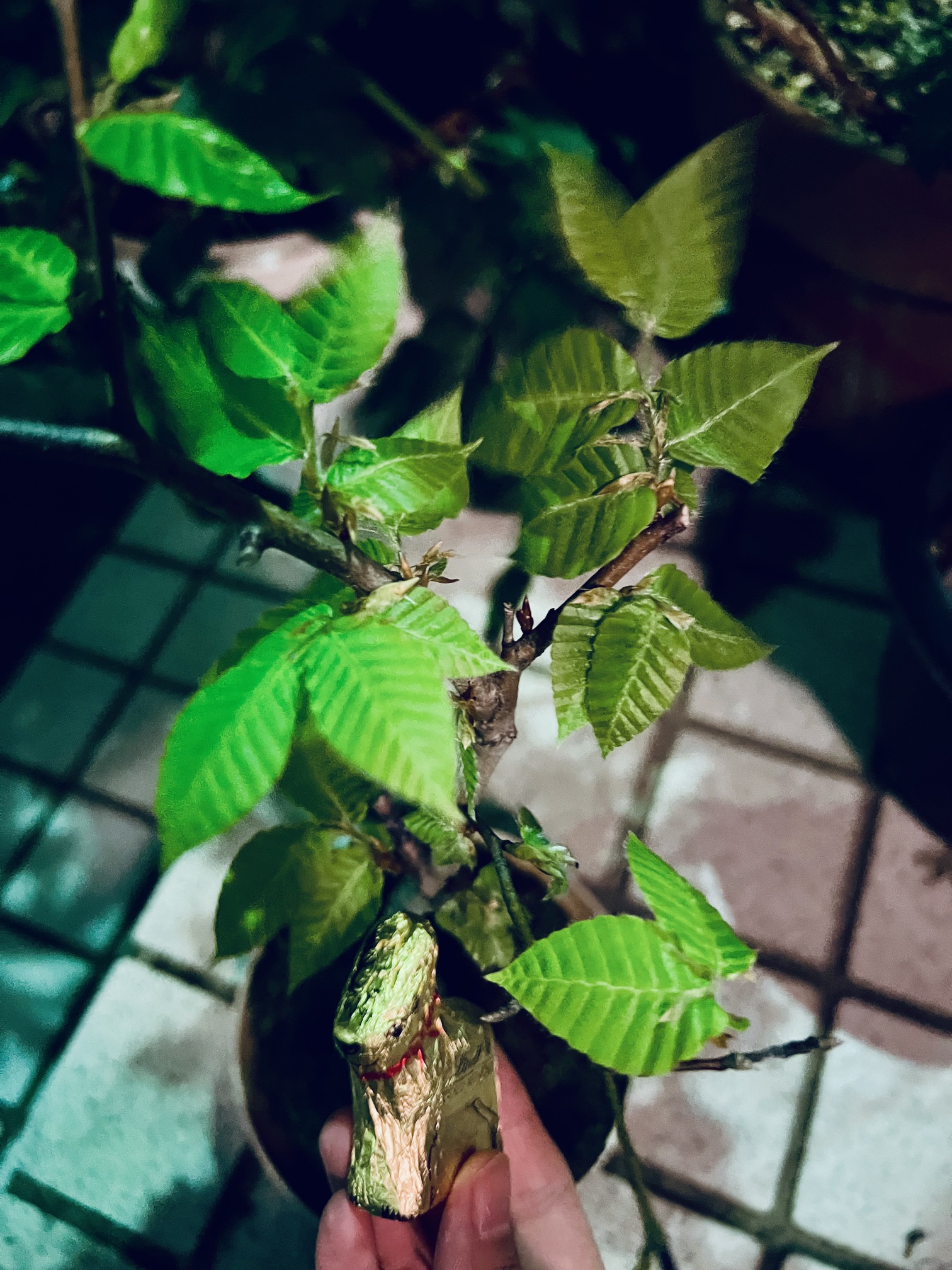 Peace of Mind 土曜の朝のサラ・オレイン Vol.575