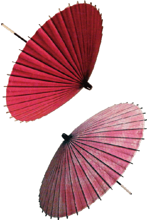 Vol.67 「和傘」 大分県 | DUNLOP presents みらい図鑑 - TOKYO FM