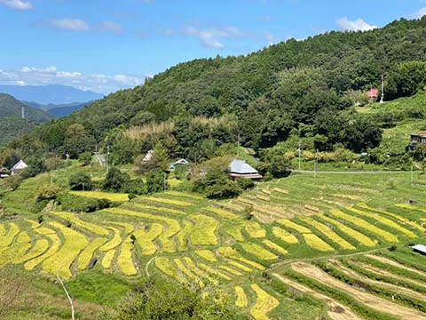 VOL.308「1000年の歴史を誇る棚田の再生とチームエナセーブ未来