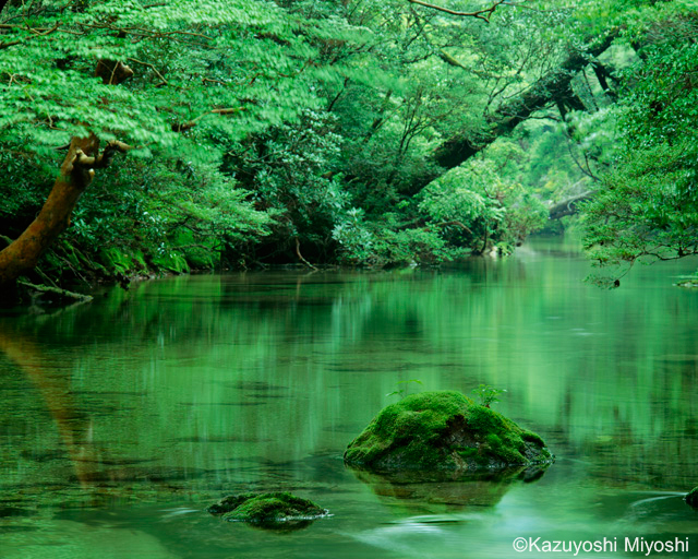 世界遺産屋久島 三好和義写真集 - 本