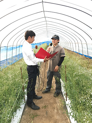 福島のかすみ草 移住した新婚夫が出会った温かさ ニッポンの未来を元気にする 農業応援プログラム あぐりずむ Weekend Tokyo Fm 80 0mhz