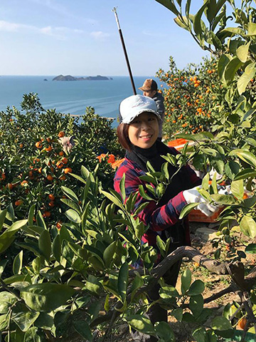 ��ɲ����̥��