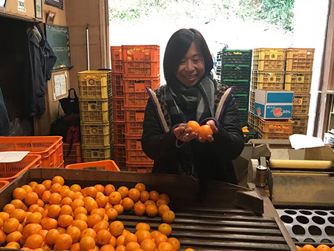 ��ɲ����̥��