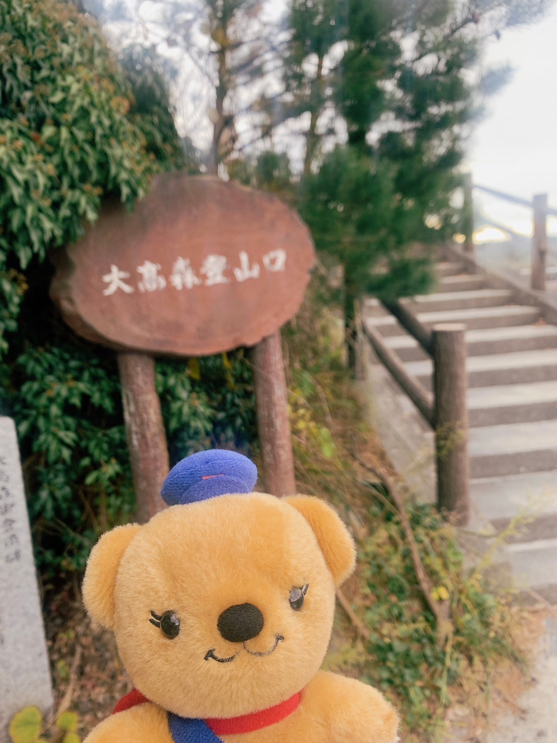 写真 写真