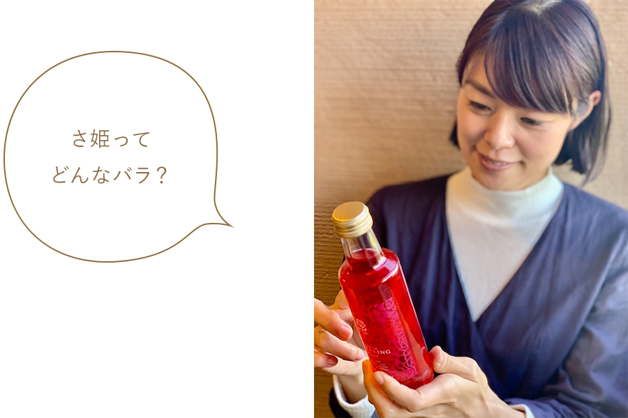 さ姫ってどんなバラ? さ姫ってどんなバラ?