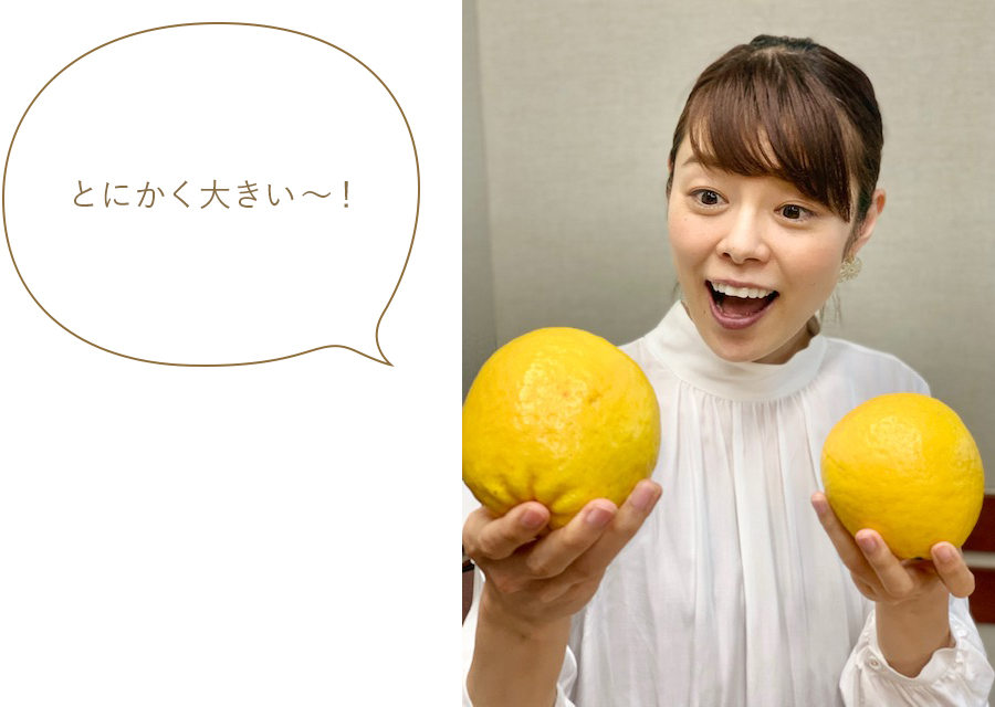 とにかく大きい~! とにかく大きい~!