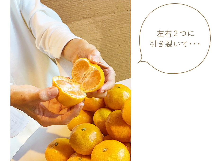 左右2つに引き裂いて… 左右2つに引き裂いて…