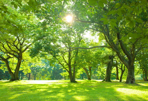 FM-NIIGATAでは2023年1月より放送開始予定！