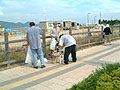 [photo]