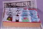 プレゼント写真