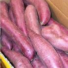 プレゼント写真