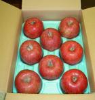 プレゼント写真